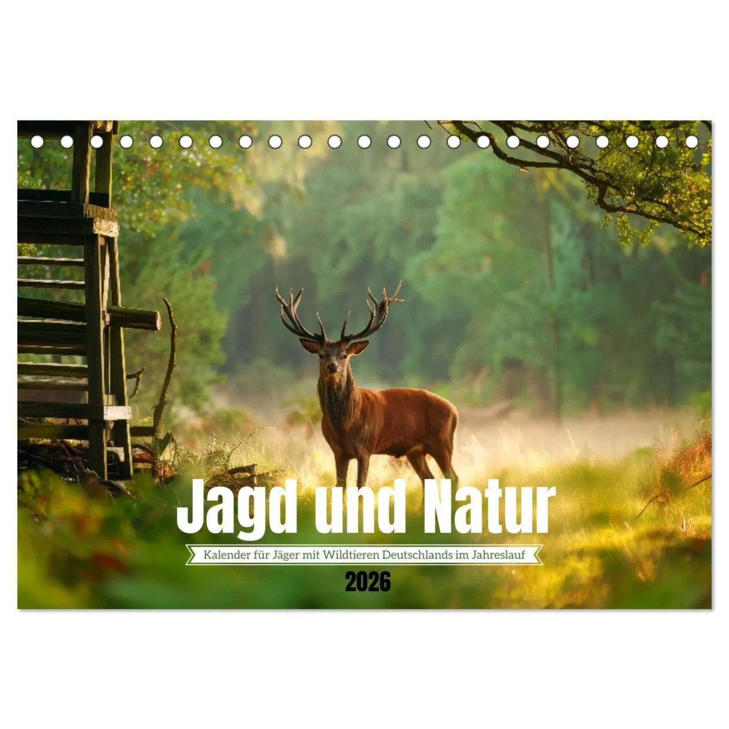 CALVENDO Monatskalender Jagd und Natur - Kalender für Jäger mit Wildtieren Deutschlands im...