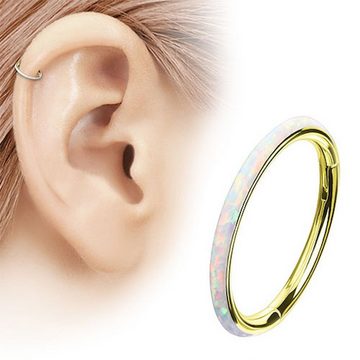 Taffstyle Nasenpiercing Piercing Segmentring Scharnier Clicker mit Opal, Septum Helix Lippe Nasenring Nasenpiercing Ohrpiercing Filigran Creole