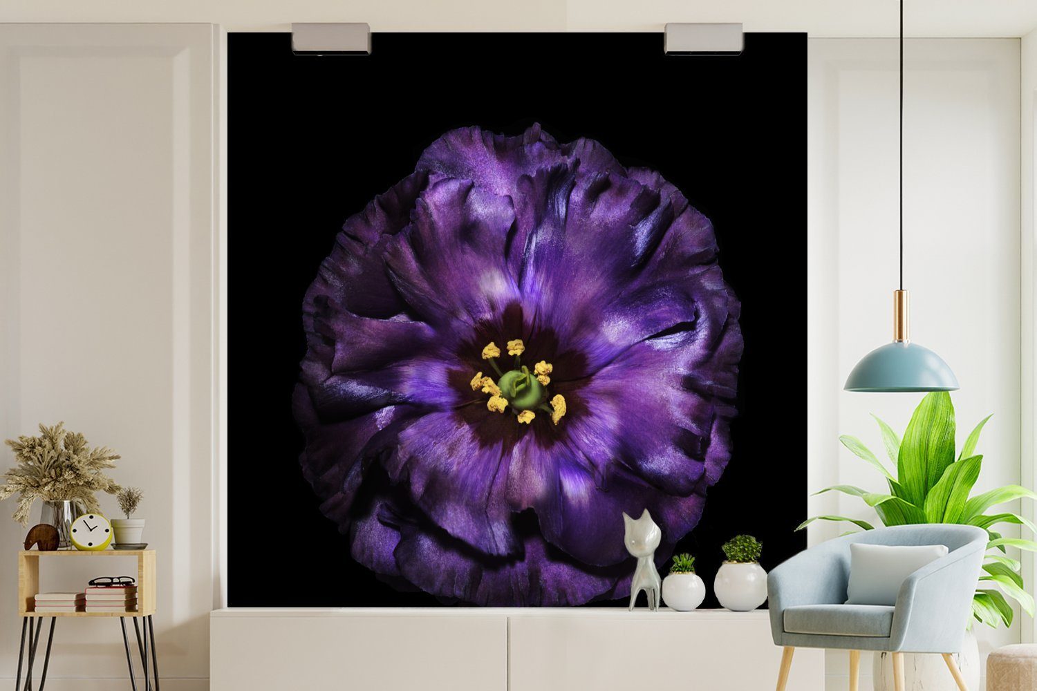 Wandtapete Blume Eine Hintergrund oder Vinyl violette bedruckt, MuchoWow Tapete vor schwarzem abgebildet, Matt, Wohnzimmer St), (5 Schlafzimmer, Fototapete für