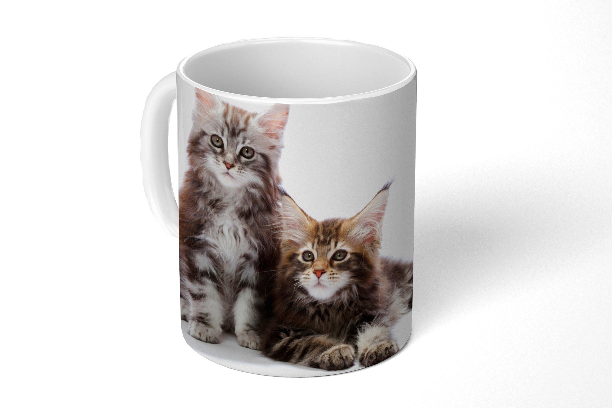 MuchoWow Tasse Zwei bezaubernde Maine Coon Kätzchen, Keramik, Kaffeetassen, Teetasse, Becher, Teetasse, Geschenk