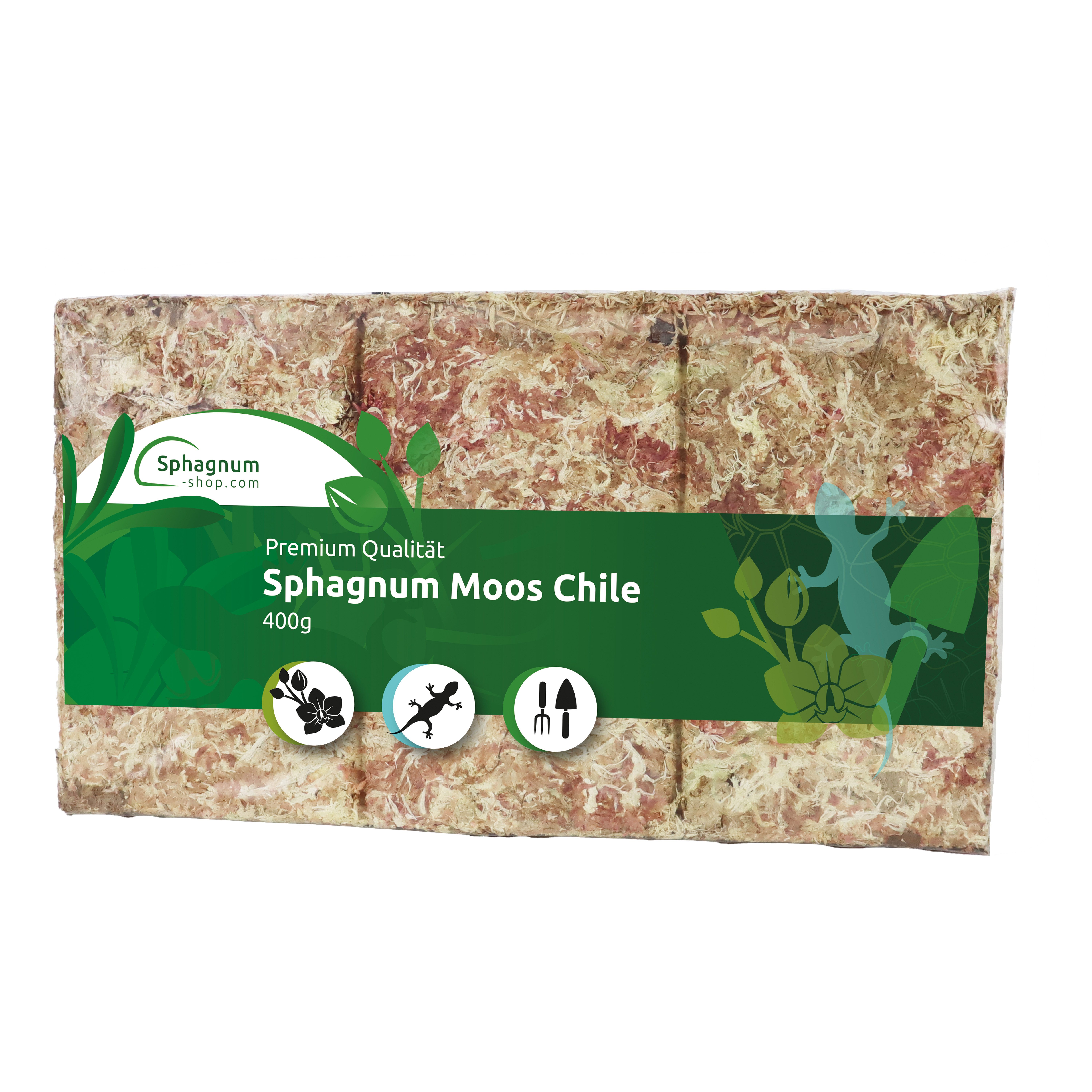 sphagnum-shop.com Terrarien-Substrat Sphagnum Moos Moosziegel aus Chile für Terrarium und Orchideen, Chilenische Premium-Qualität, Ideal für Pflanzenpflege & Terraristik