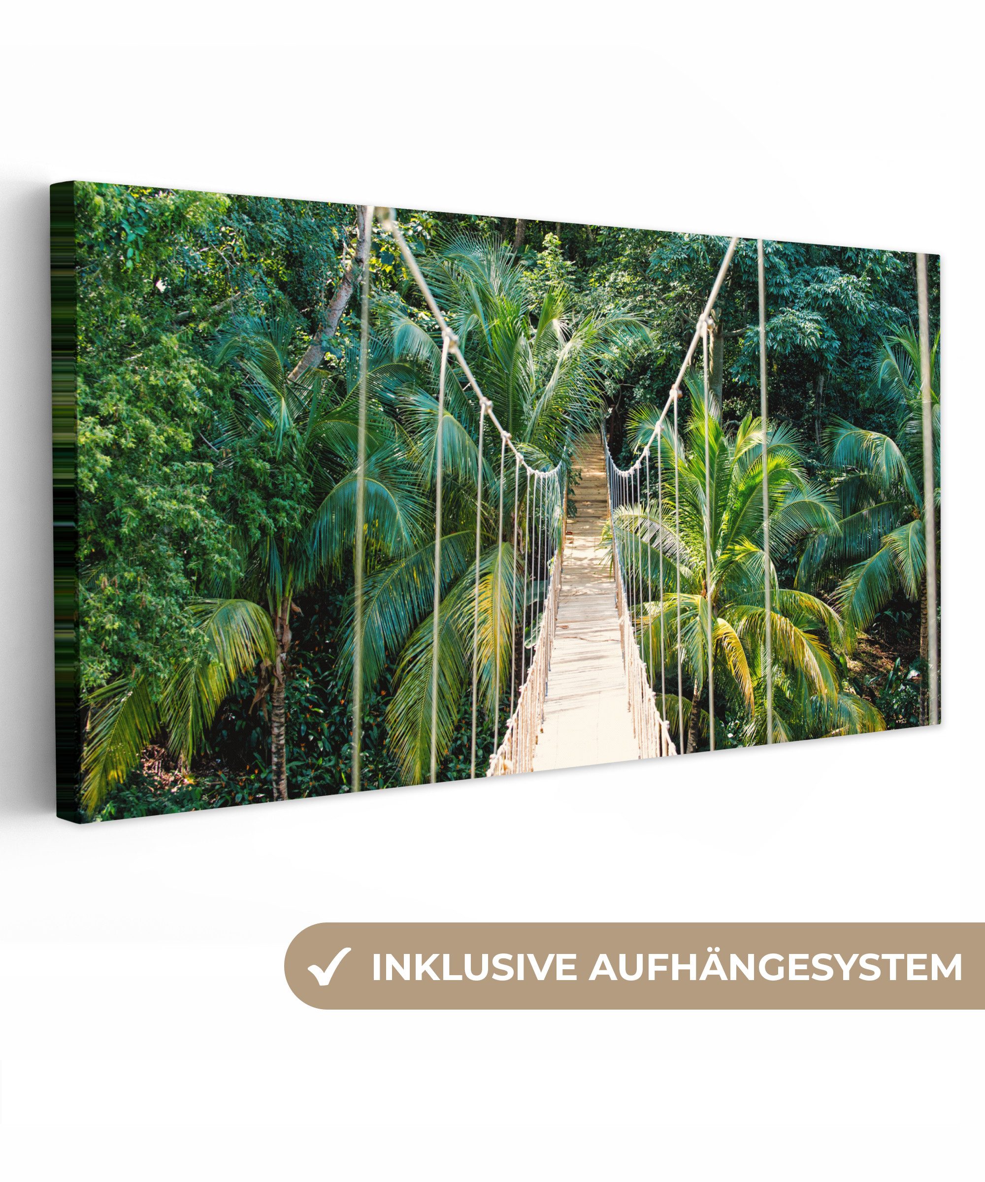 OneMillionCanvasses® Leinwandbild Panorama Dschungel - Palme günstig online kaufen