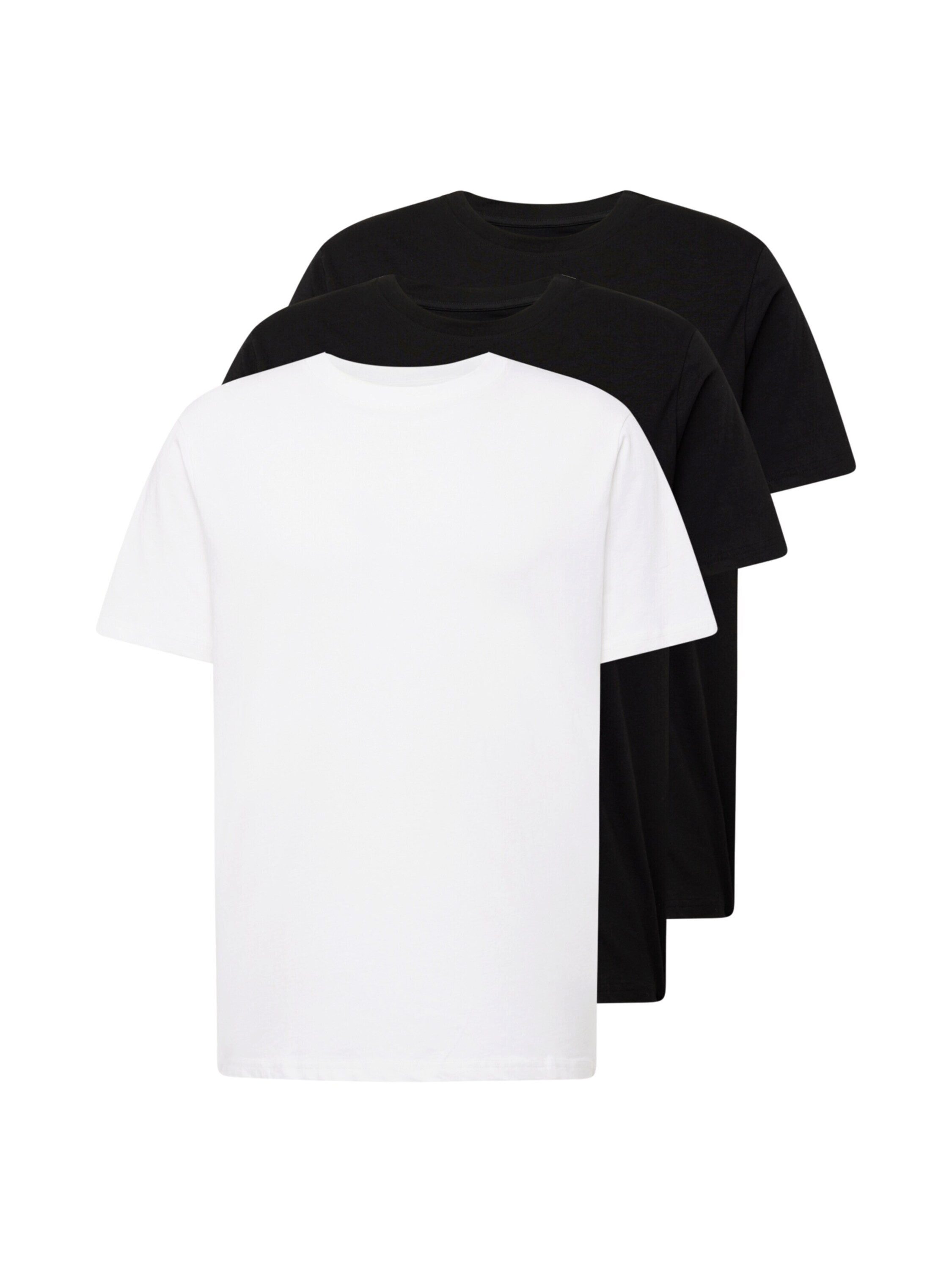KnowledgeCotton Apparel T-Shirt (3-tlg)