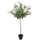 Kunstpflanze Künstlicher Olivenbaum mit schwarzen Früchten, I.GE.A., Höhe 80 cm, Auf Stamm Kugelbaum Ölbaum Grünpflanze Kunstbaum Dekobaum Baum Pflanze