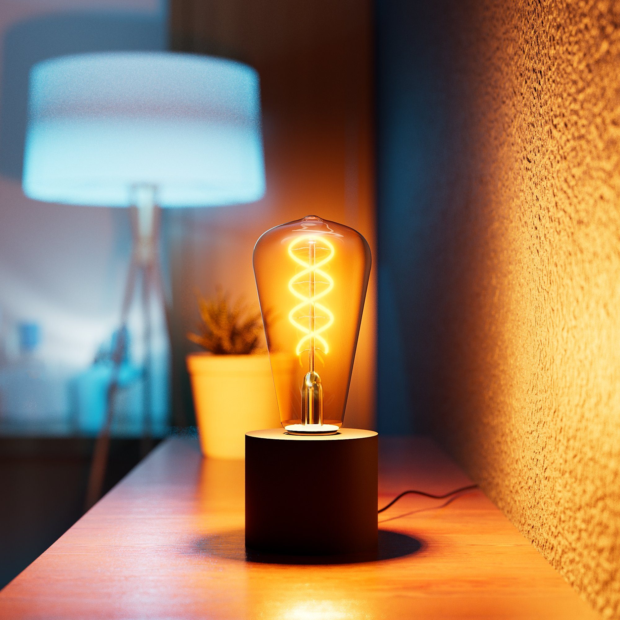 LED Edison Bilderleuchte & mit LED, Wand- SSC-LUXon Kabel & Stecker Warmweiß schwarz Tischlampe mit NAMBI