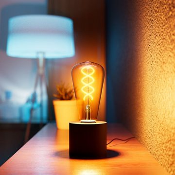 SSC-LUXon LED Bilderleuchte NAMBI Wand- & Tischlampe schwarz mit Kabel & Stecker mit Edison LED, Warmweiß