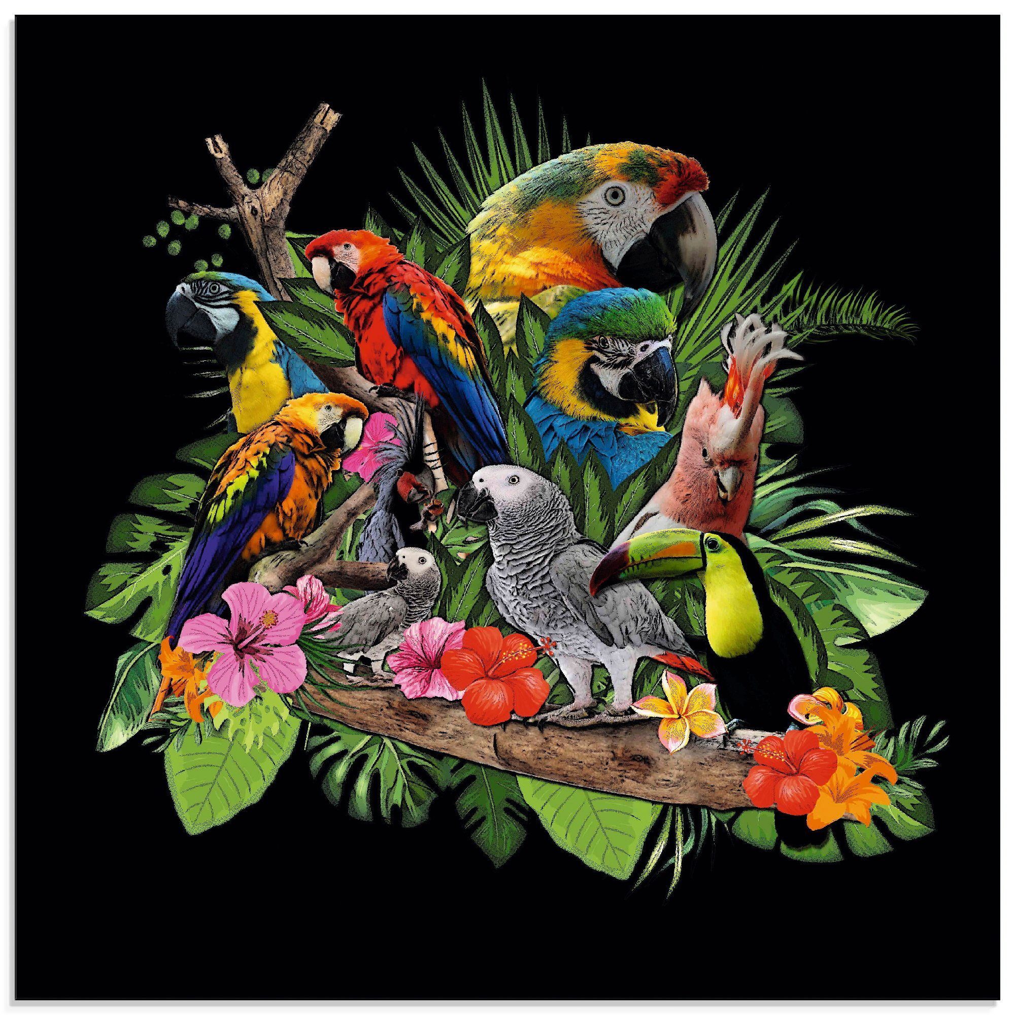St), Artland verschiedenen Vögel Papageien Kakadu in Glasbild (1 Größen Dschungel, Graupapagei