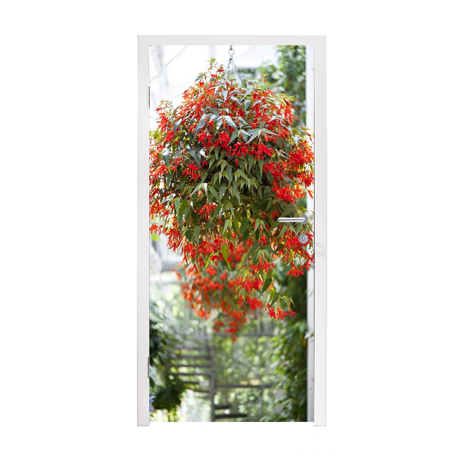Hängepflanze MuchoWow bedruckt, für roten St), Türaufkleber, (1 Türtapete Matt, mit Tür, Blüten, 75x205 Fototapete cm