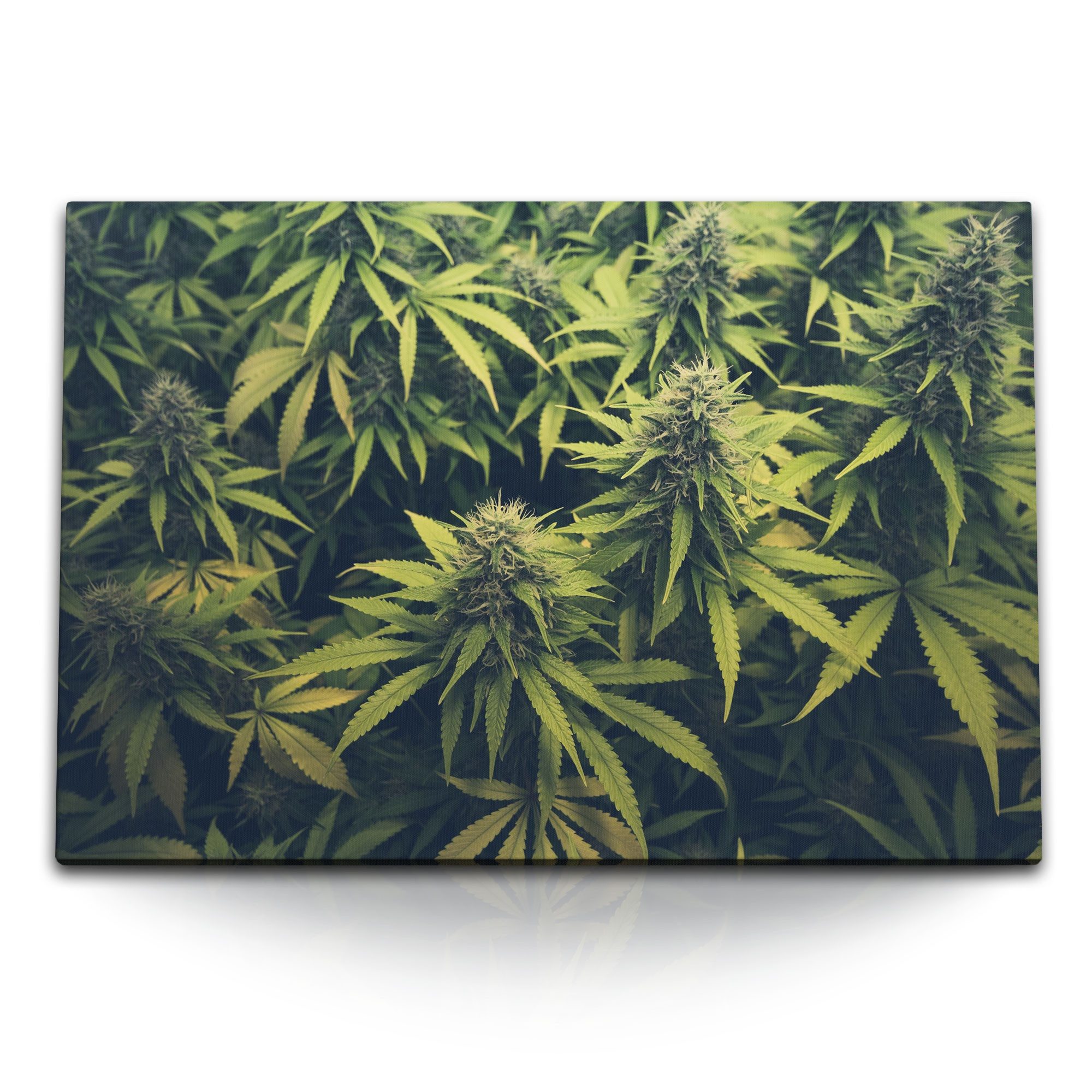 Sinus Art Leinwandbild 120x80cm Wandbild auf günstig online kaufen