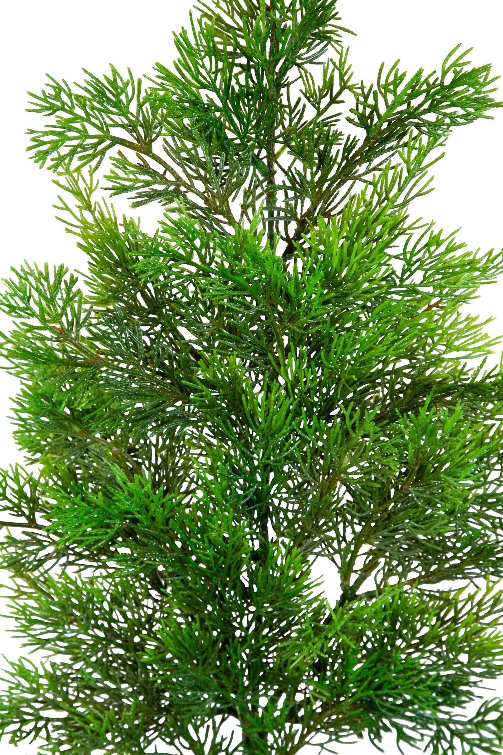 Kunstzweig Zedernzweig Nature ZJ Kunststoff 100% PE Spritzguss künstliche Zeder, Seidenblumen Roß, Länge: cm 50cm – Bild 4 von 5