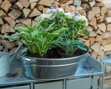 Rivanto Pflanzkübel, Wanne mit Griffen oval, aus Zink für Terrasse und Balkon