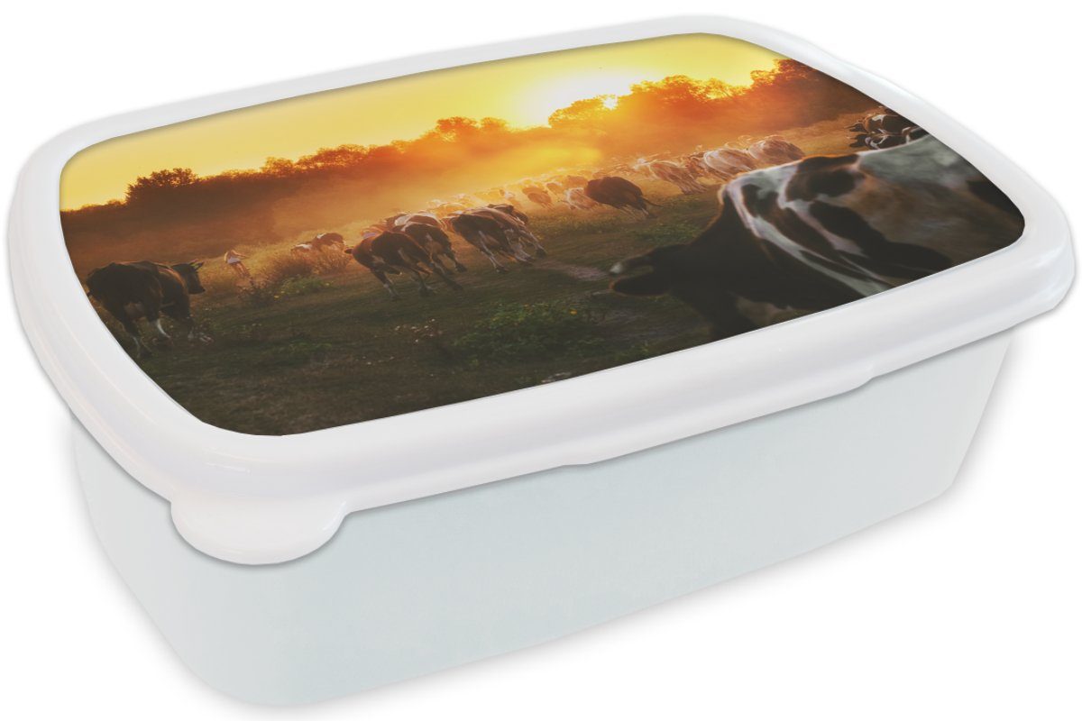 - Jungs Kühe Kinder für Erwachsene, MuchoWow Lunchbox Tiere, - Wiese Sonnenuntergang (2-tlg), Kunststoff, - für Brotdose, weiß Mädchen und Brotbox und