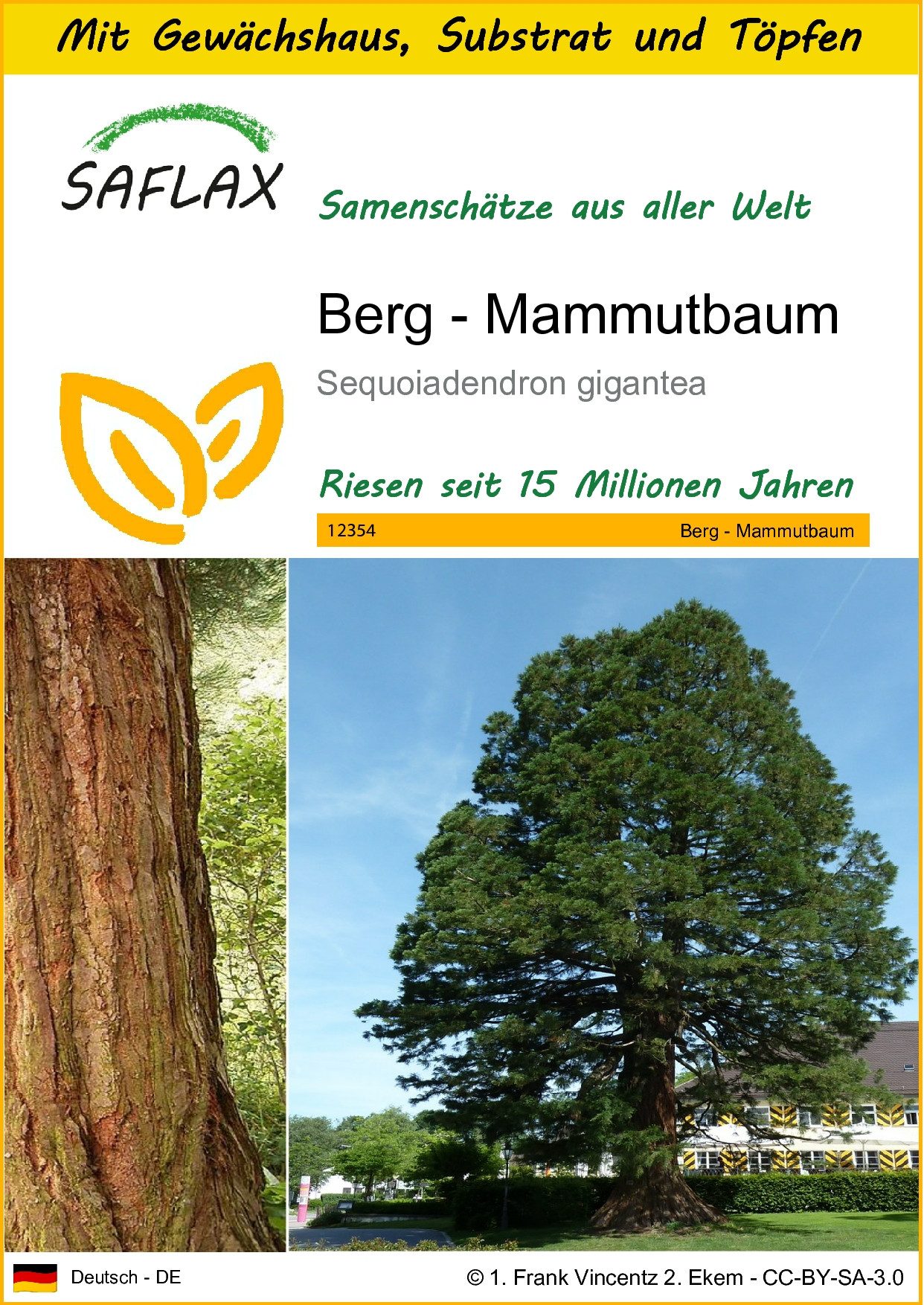 SAFLAX Blumensamen SAFLAX - Anzuchtset - günstig online kaufen