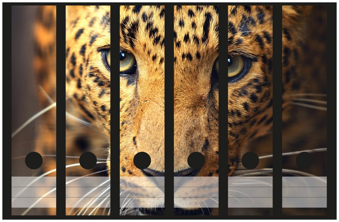 Thumbnail - Wallario Etiketten Leopard in Nahaufnahme beim Laufen, Ordnerrücken-Sticker in verschiedenen Ausführungen