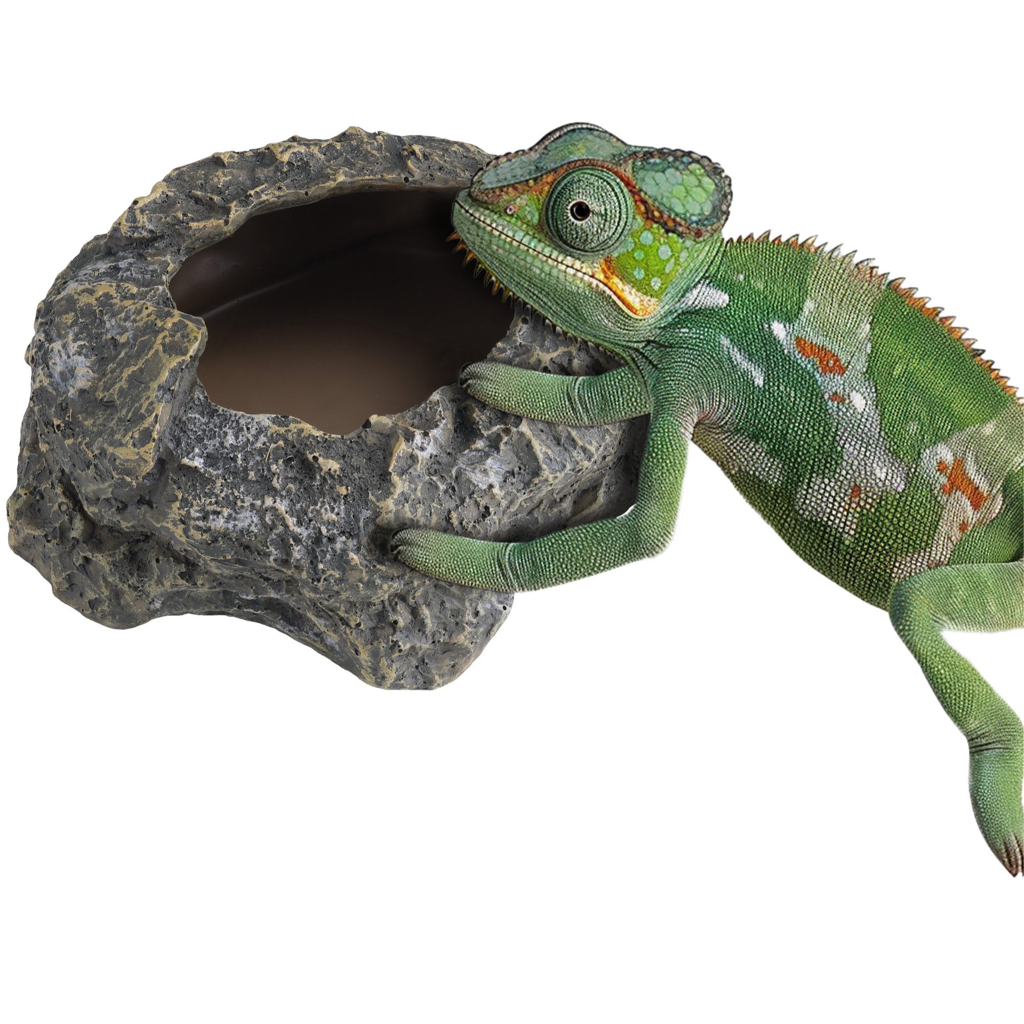 Tier-Beschäftigungsspielzeug Wurmfutterschale für Reptilien - Futter- & Wasserschale für Reptilien