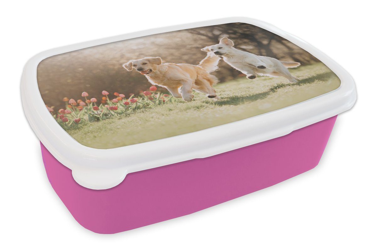 rosa Mädchen, Hunde Kunststoff - Kinder, Snackbox, Erwachsene, Lunchbox (2-tlg), MuchoWow Brotdose für Frühling, Kunststoff, Sonne - Brotbox