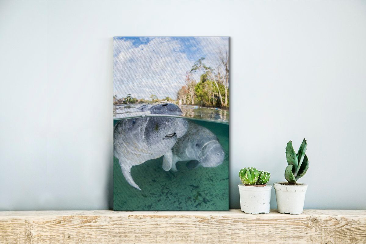 OneMillionCanvasses® Leinwandbild große fertig im bespannt Zwei Leinwandbild (1 Gemälde, schwimmen 20x30 St), Wasser, inkl. cm Zackenaufhänger, flachen Dugongs