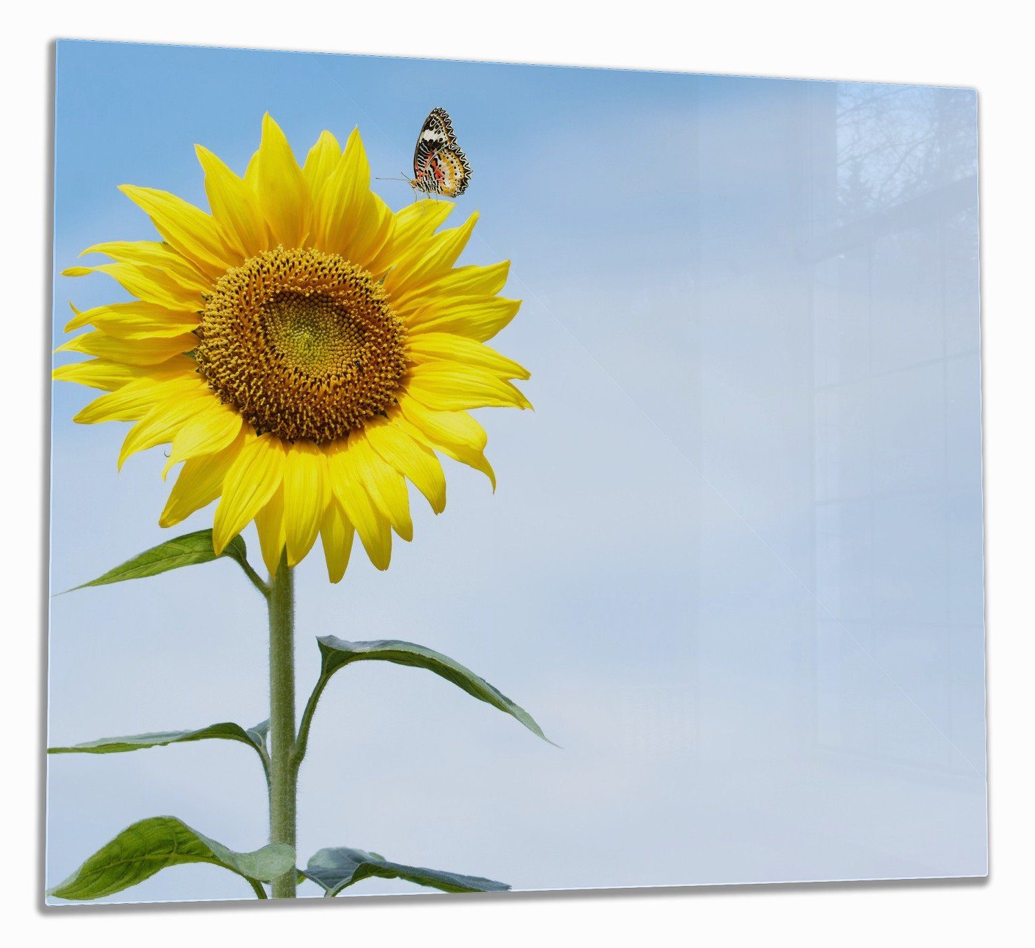 Wallario Herd-Abdeckplatte Sonnenblume mit Schmetterling, ESG-Sicherheitsglas, (Glasplatte, 1 tlg., inkl. 5mm Noppen), verschiedene Größen