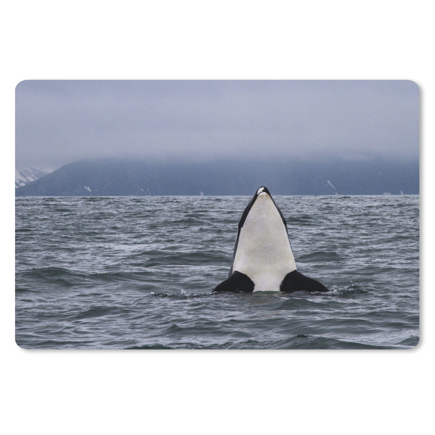 MuchoWow Mauspad (1-St), Büro für Tastatur und Maus, Mousepad Gaming, 60x40 cm