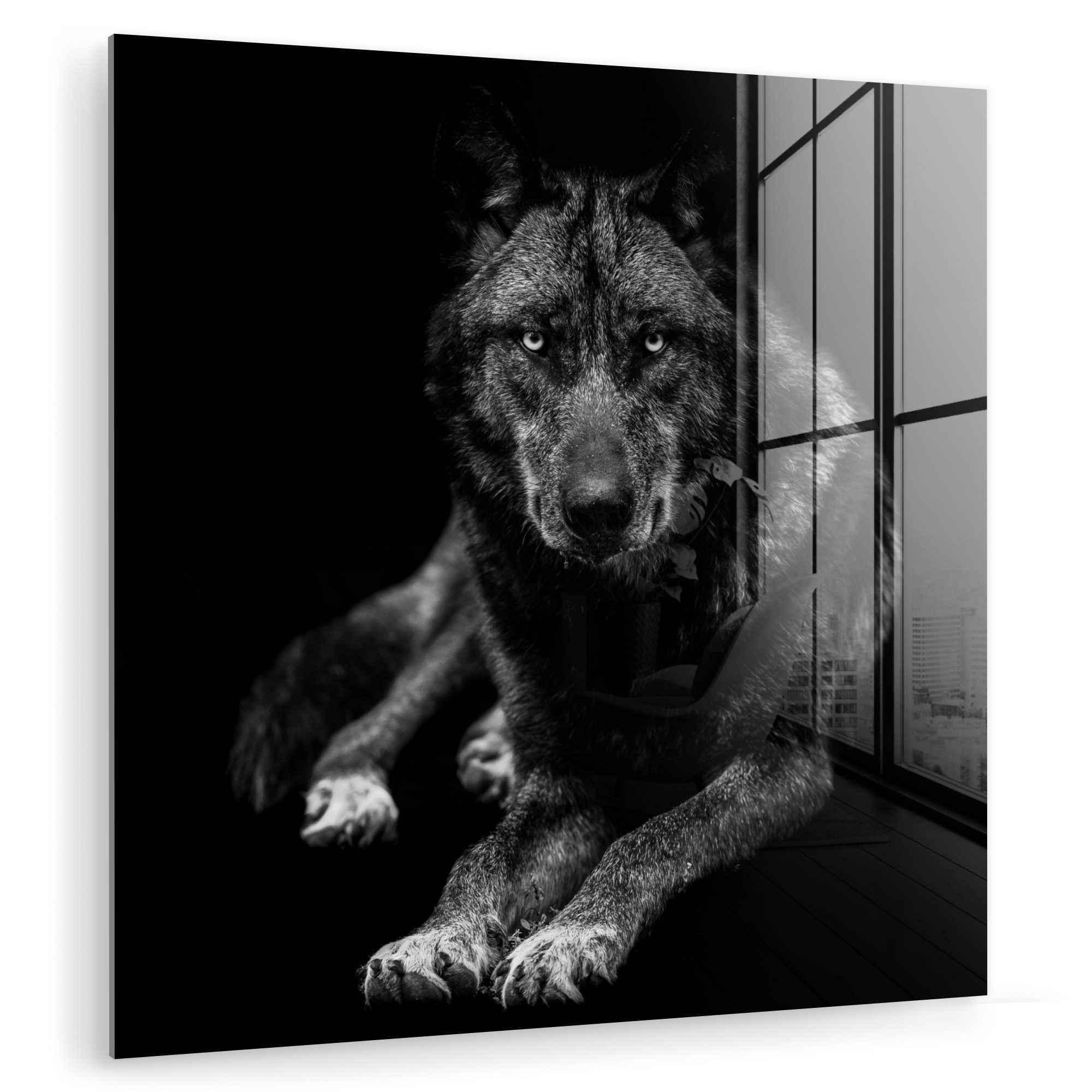 MuchoWow Acrylglasbild Tiere - Wolf - günstig online kaufen