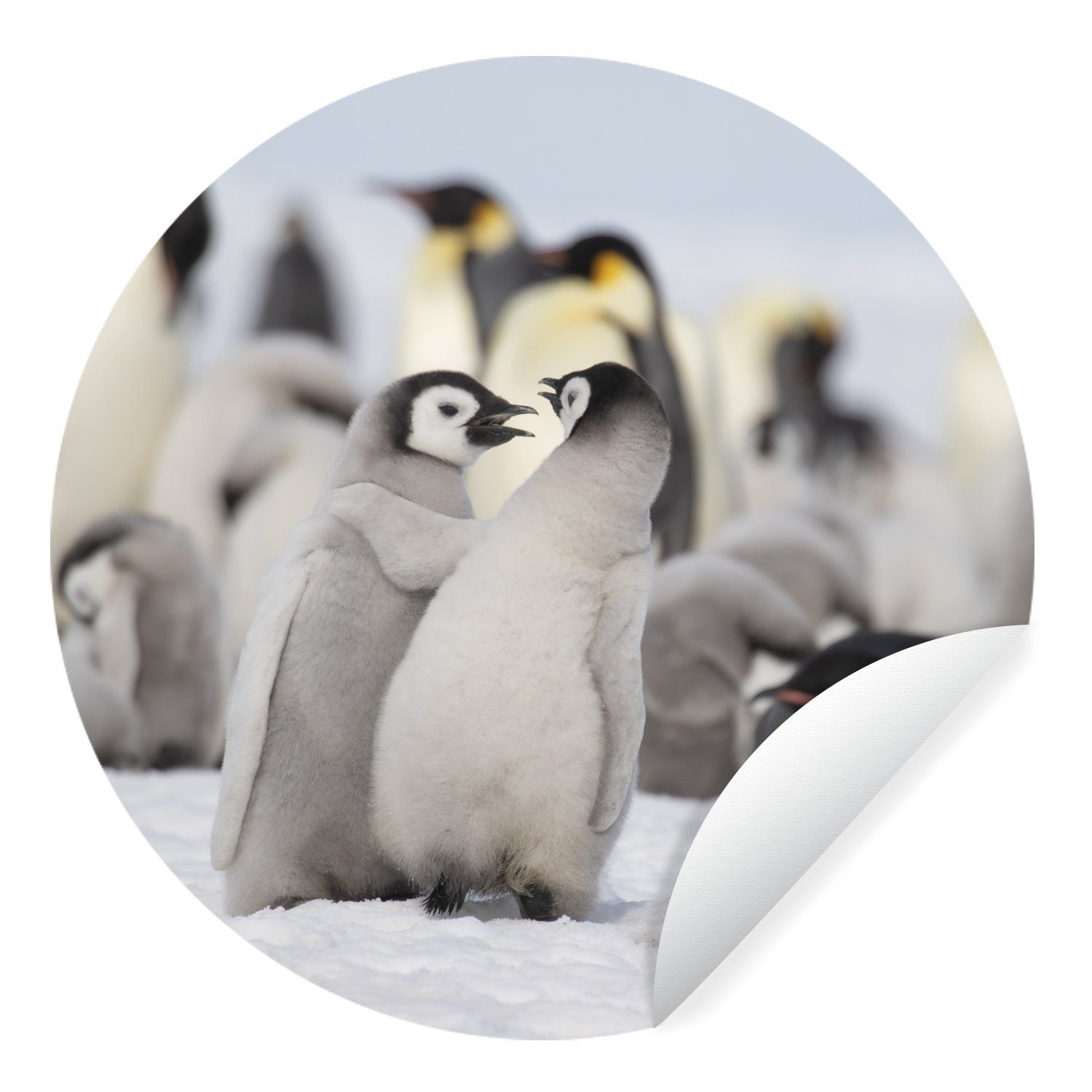 MuchoWow Wandsticker Pinguine - Schnee - Tiere (1 St), Tapetenkreis für Kinderzimmer, Tapetenaufkleber, Rund, Wohnzimmer