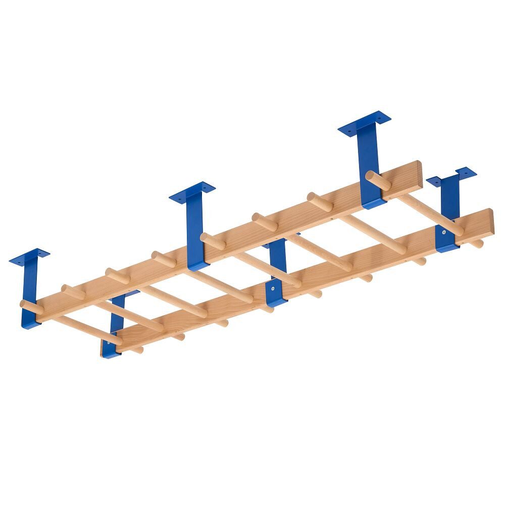 Sprossenwand Hangelsprossenwand Roof