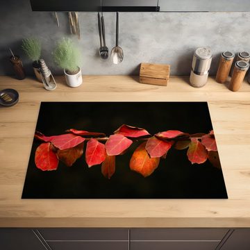 MuchoWow Herdblende-/Abdeckplatte Die roten Blätter auf schwarzem Hintergrund, Vinyl, (1 tlg), 77x51 cm, Ceranfeldabdeckung, Arbeitsplatte für küche