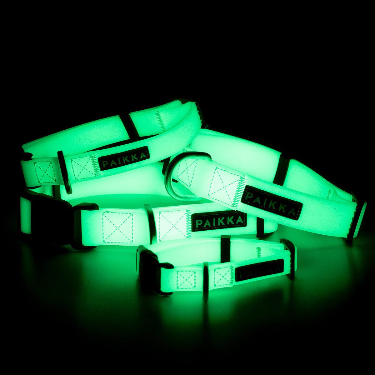 PAIKKA Hunde-Halsband Hundehalsband "Glow Collar"