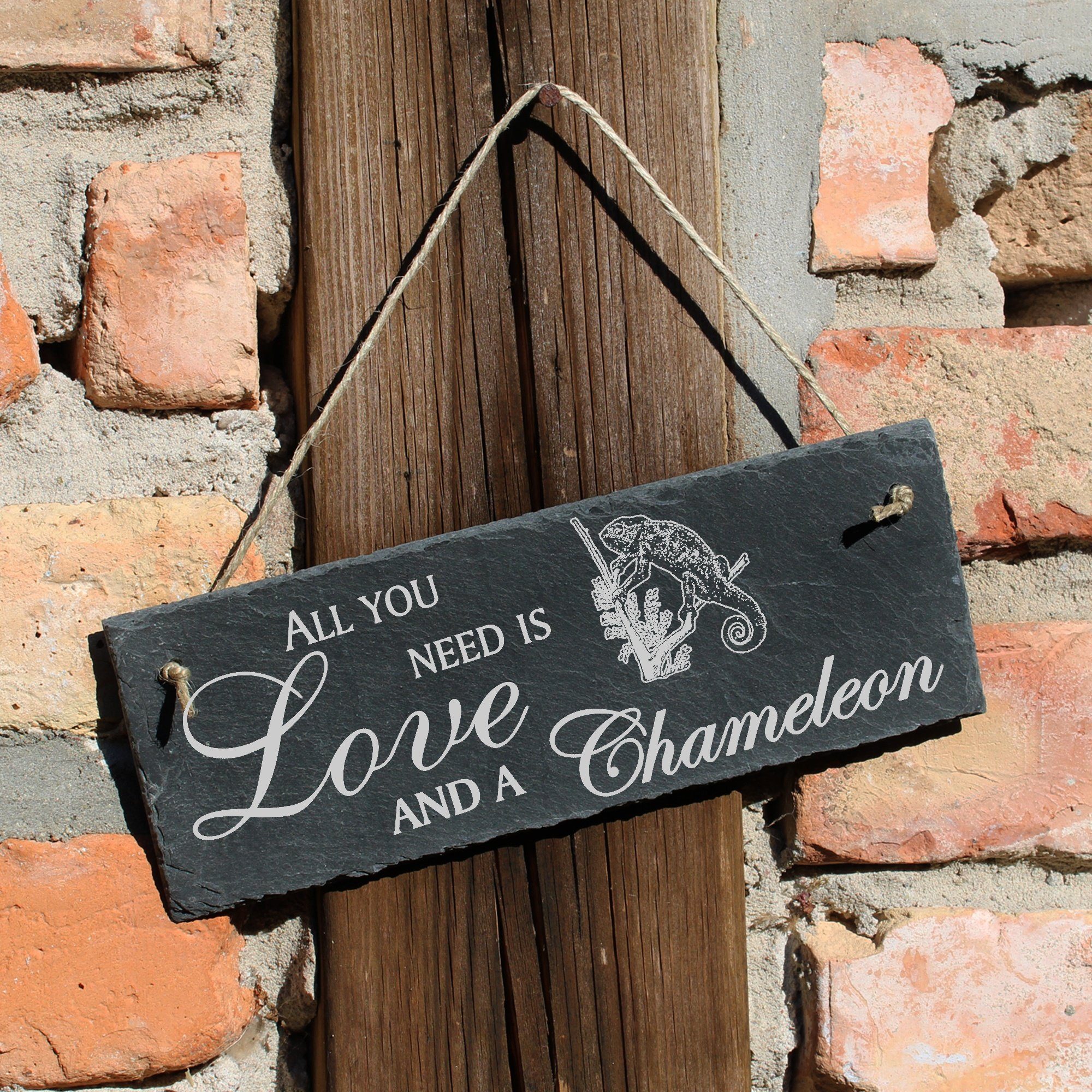 Dekolando Hängedekoration Chamäleon 22x8cm All you and is need Love Chameleon a