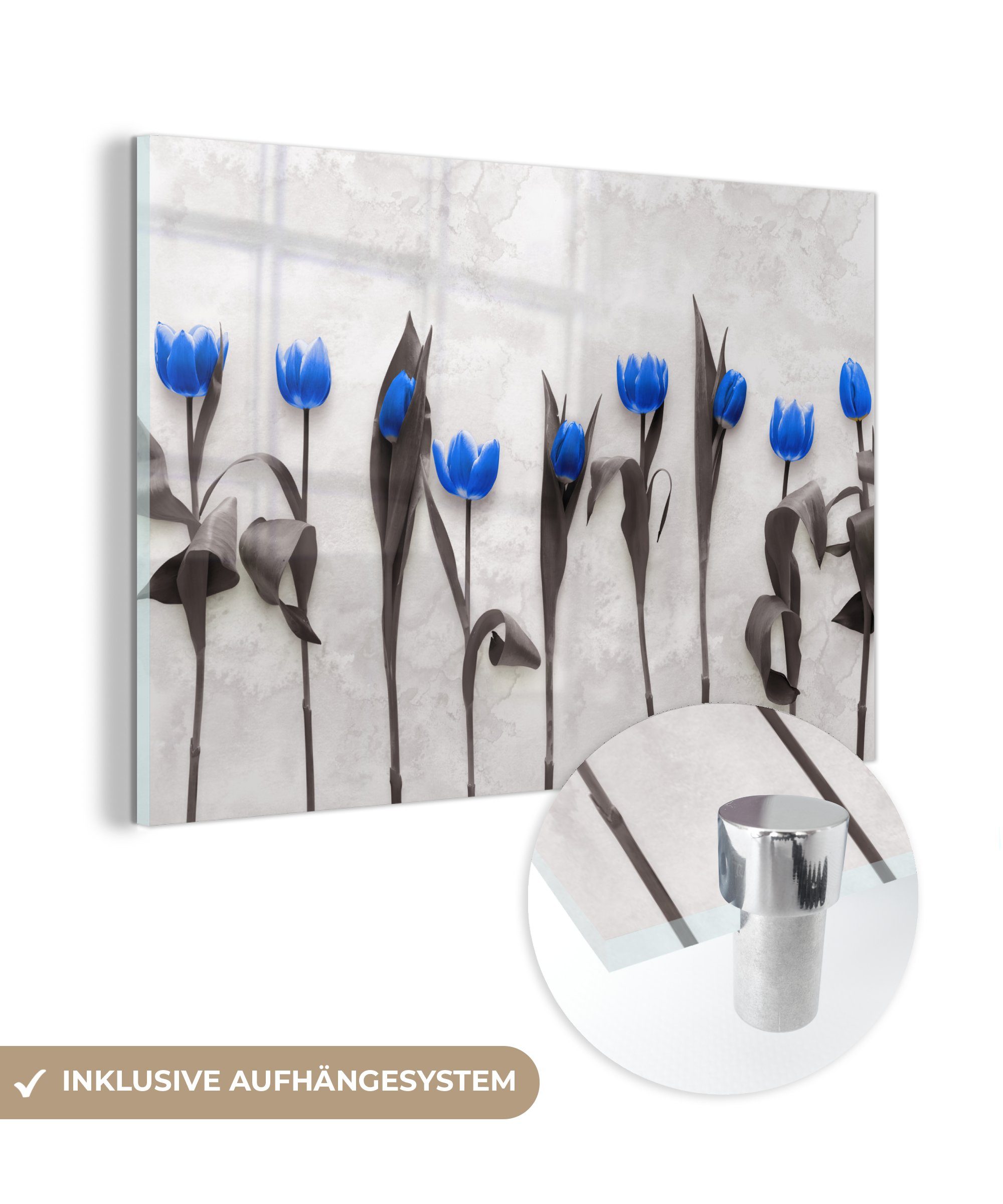 MuchoWow Acrylglasbild Blumen - Tulpen - Blau, (1 St), Glasbilder - Bilder auf Glas Wandbild - Foto auf Glas - Wanddekoration