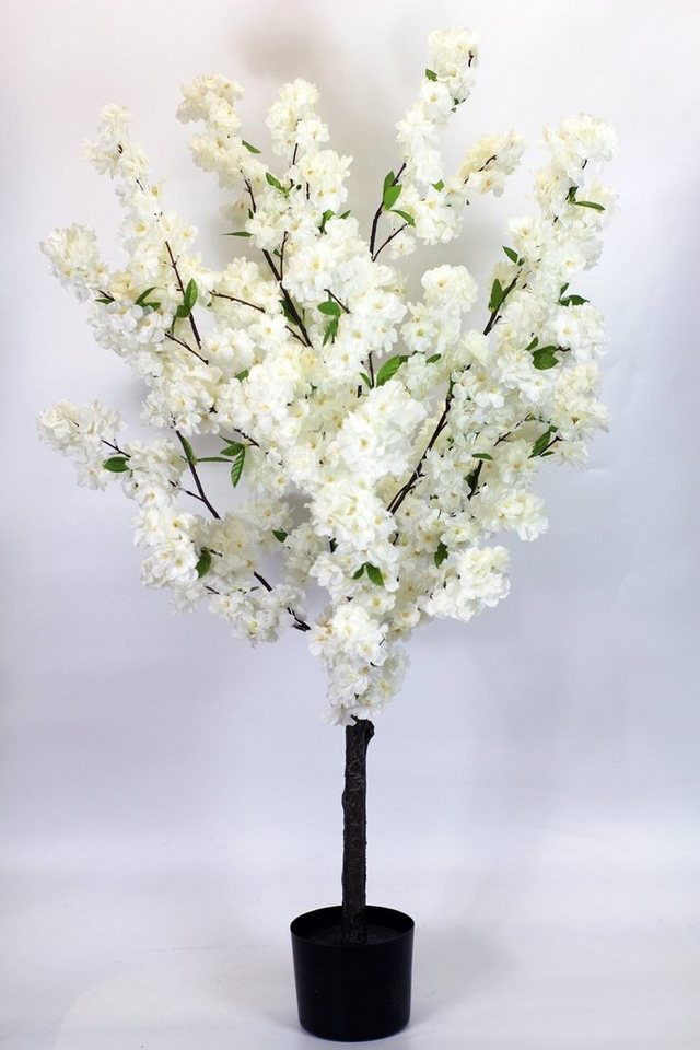 Kunstpflanze Künstlicher Kirschbaum weißer Kirschblütenbaum, Arnusa, Höhe  120 cm, Fertig im Topf