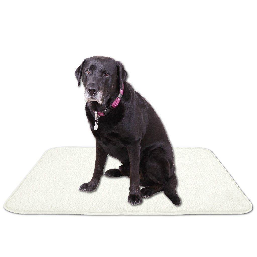 Bestlivings Tierdecke Lammflor, Katzen- & Hundedecke, günstig online kaufen