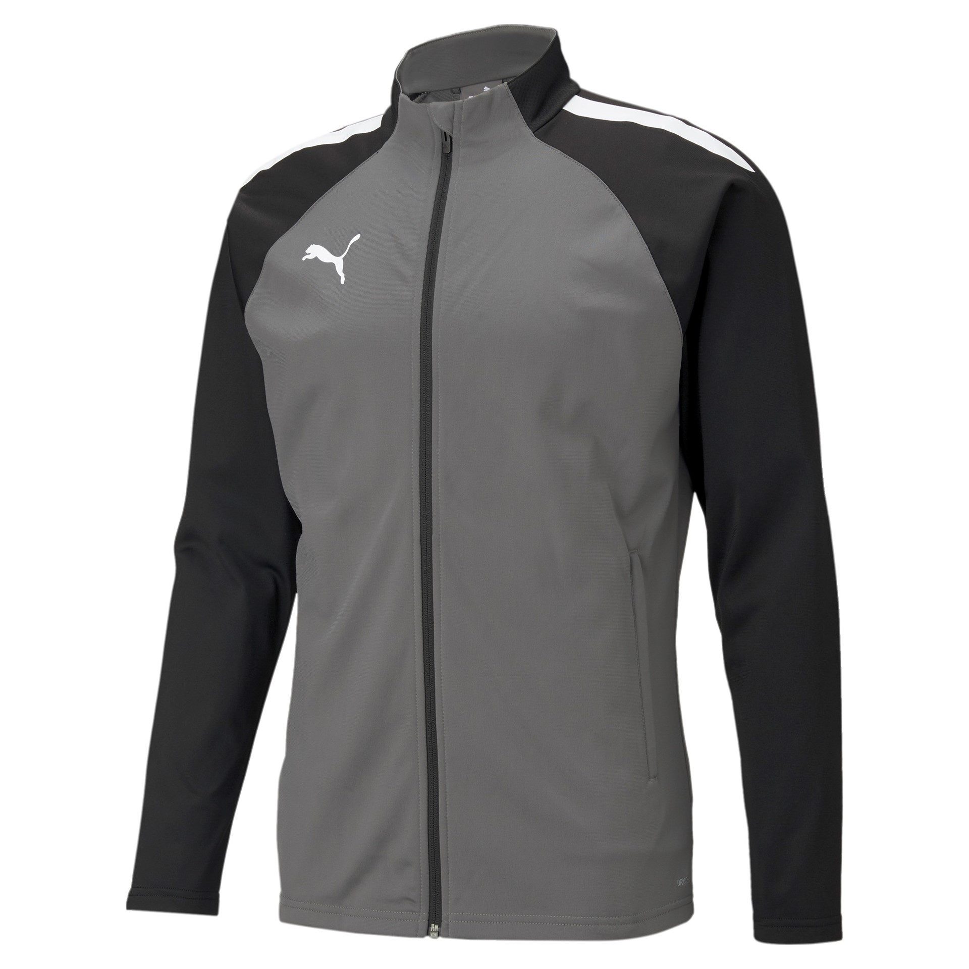 PUMA Trainingsjacke teamLIGA Poly grau Herren günstig online kaufen
