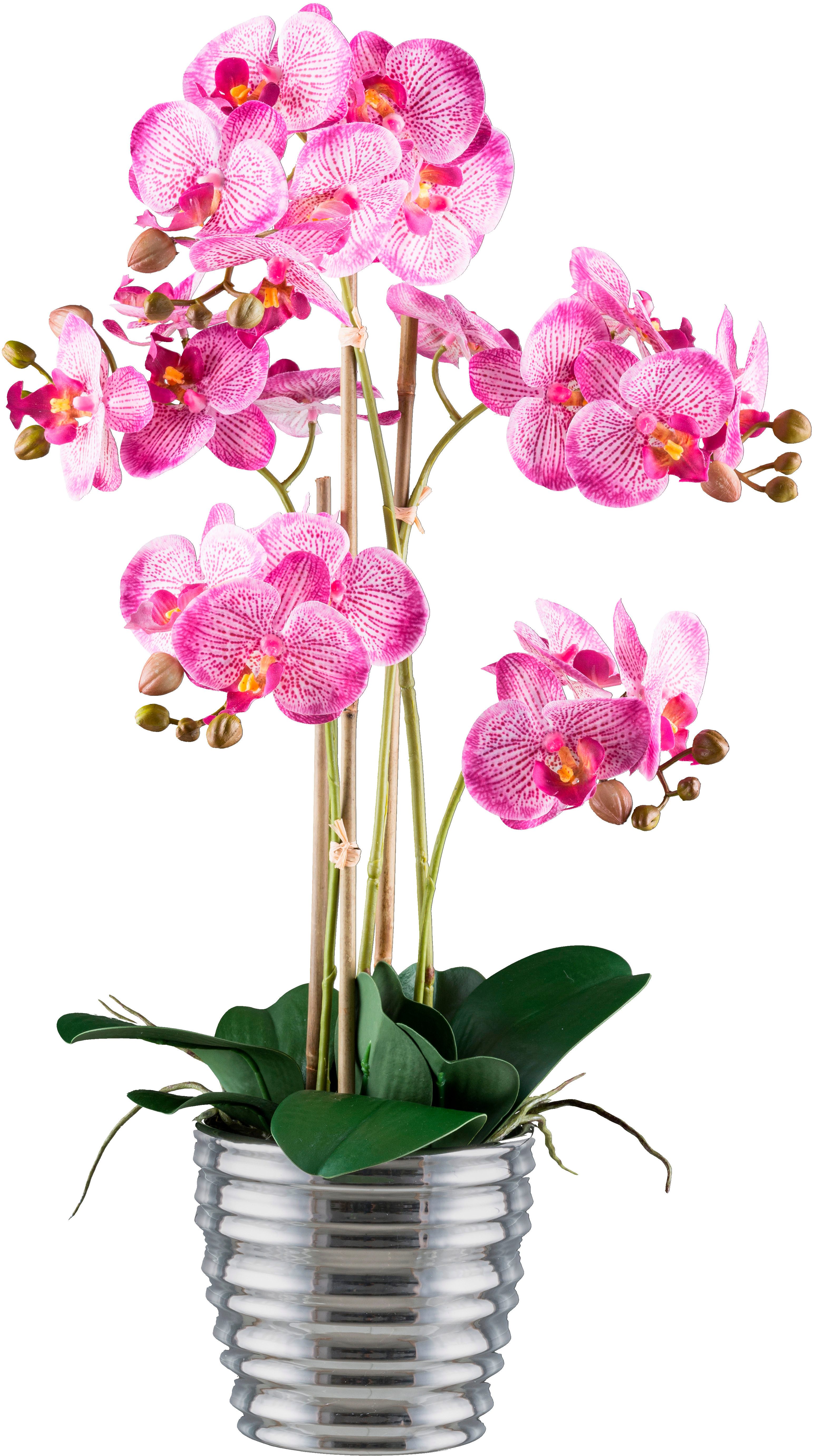 Kunstorchidee Orchidee Phalaenopsis, Creativ green, Höhe günstig online kaufen