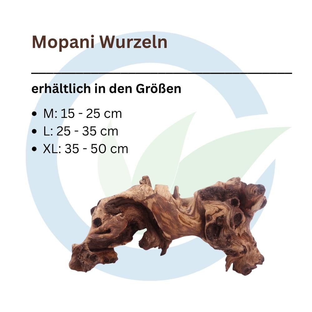 Aquaone Aquarium Mopani Wurzel XL 35-50 cm