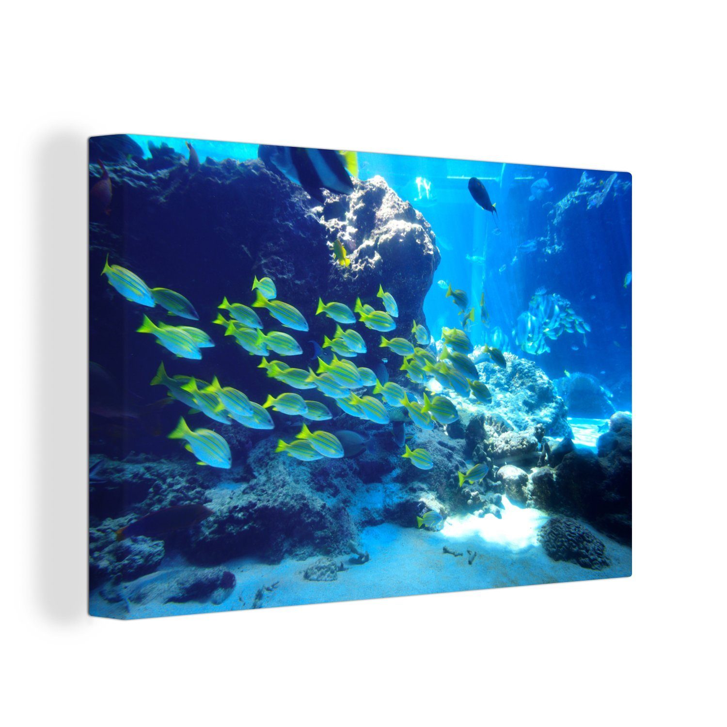 OneMillionCanvasses® Leinwandbild Ein Schwarm von Meeresfischen schwimmt zwischen den dunklen, (1 St), Wandbild Leinwandbilder, Aufhängefertig, Wanddeko, 30x20 cm