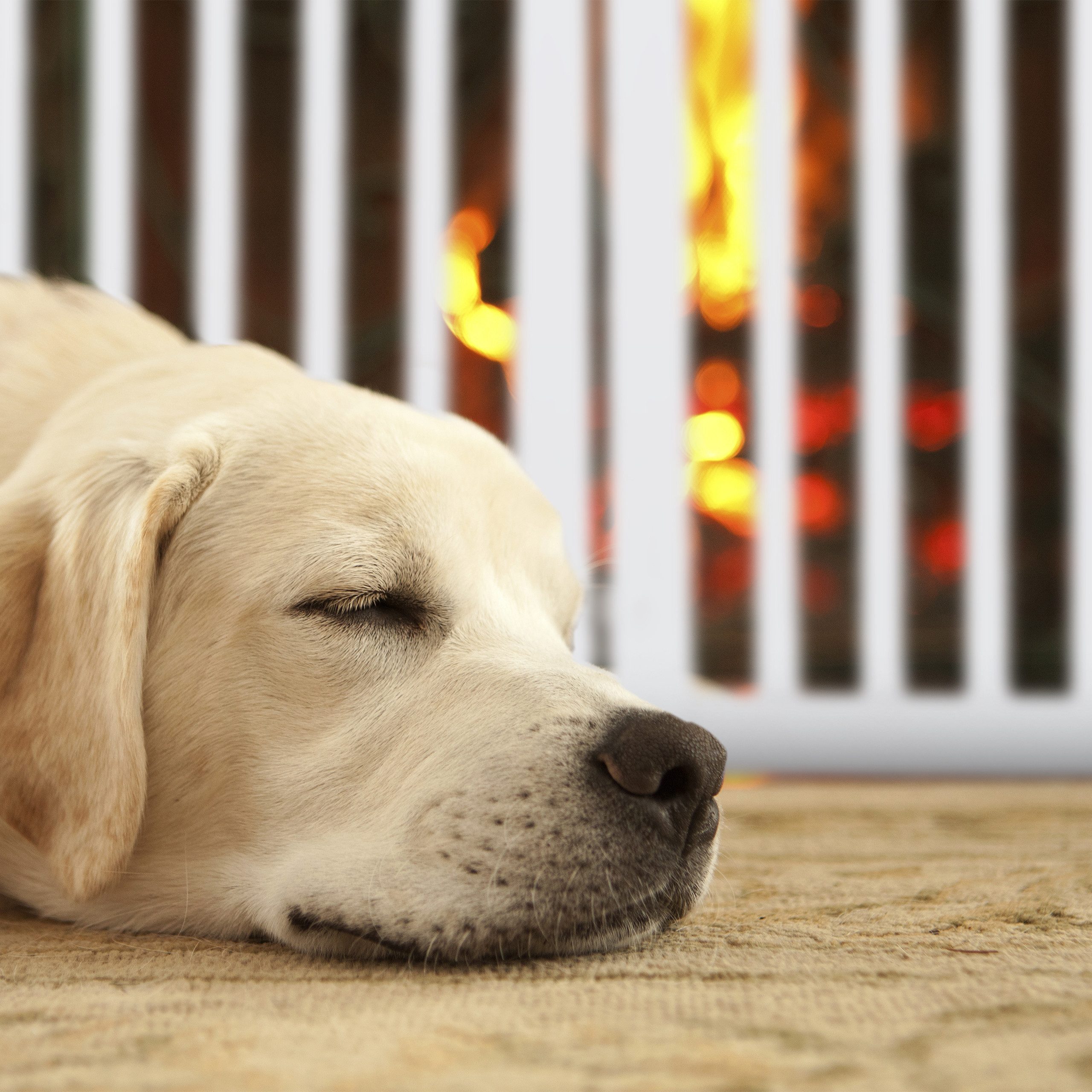 relaxdays Universalschutzgitter Weißes Absperrgitter mit Tür 92 cm hoch