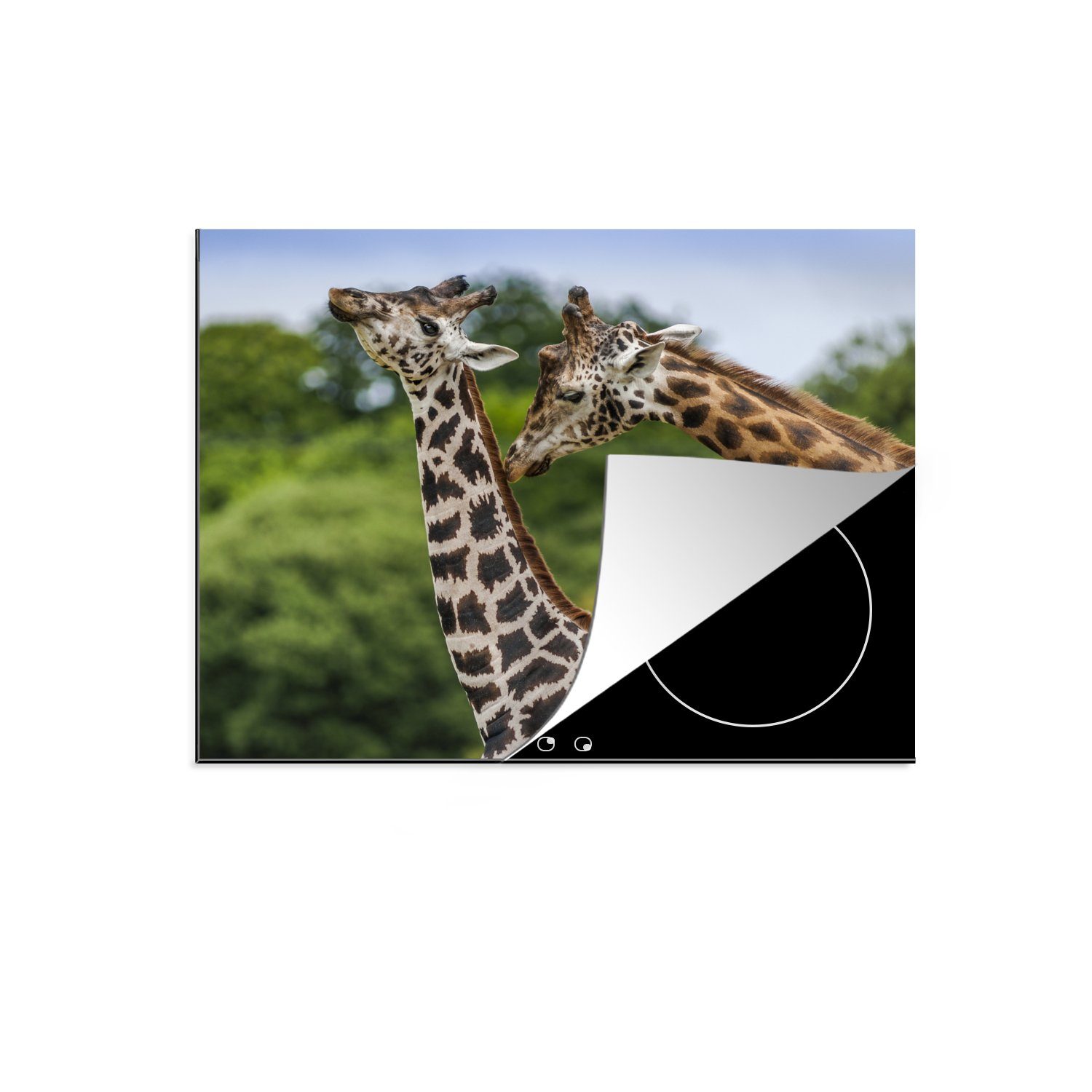 MuchoWow Herdblende-/Abdeckplatte Zwei Giraffen vor einem unscharfen Hintergrund, Vinyl, (1 tlg), 60x52 cm, Mobile Arbeitsfläche nutzbar, Ceranfeldabdeckung