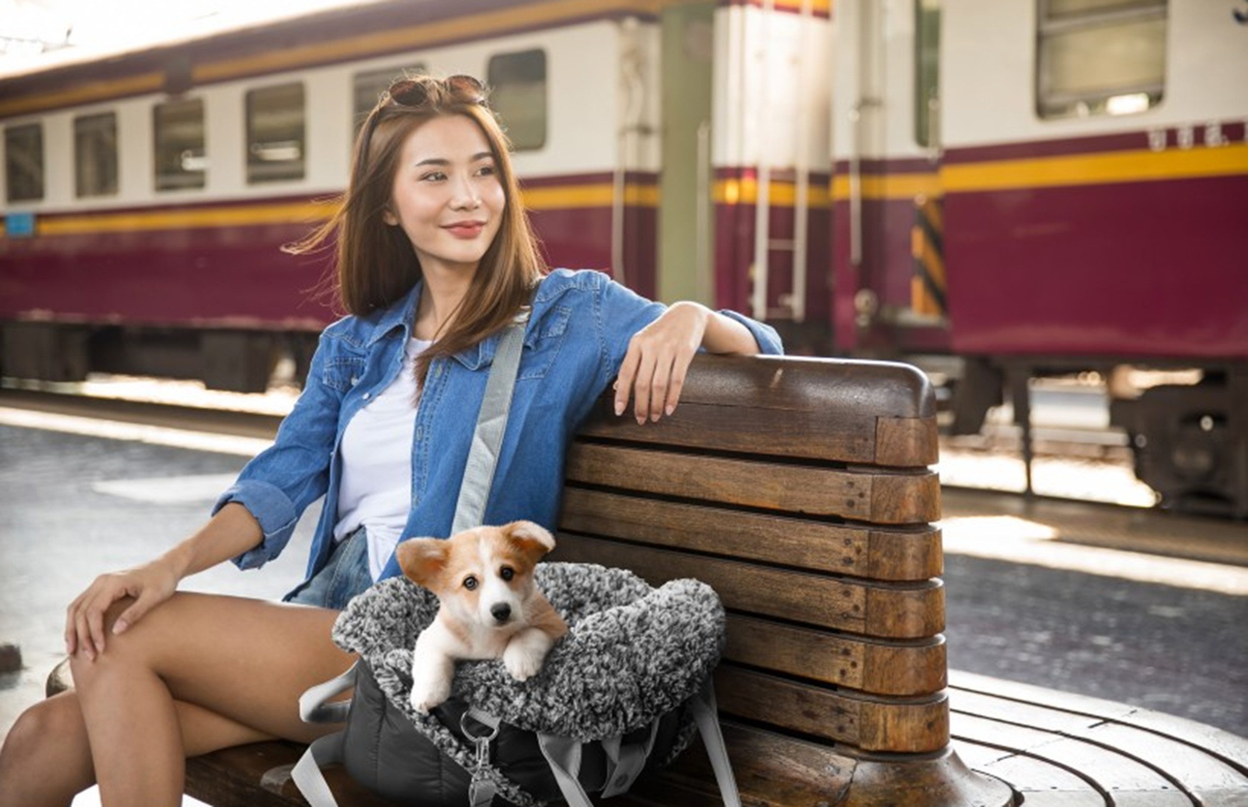 Hobbydog Tiertransportbox Transporttasche Hundetragetasche Katzentasche Hundetransport