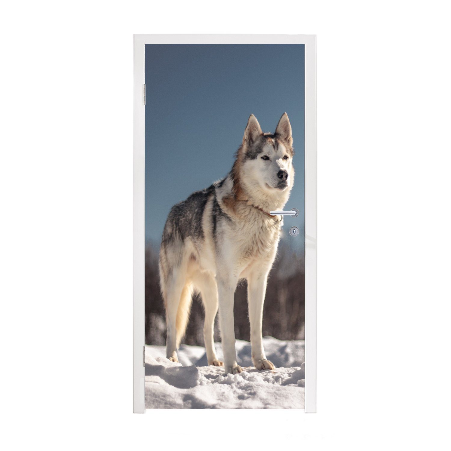 MuchoWow Türtapete Husky im Schnee, Matt, bedruckt, (1 St), Fototapete für Tür, Türaufkleber, 75x205 cm