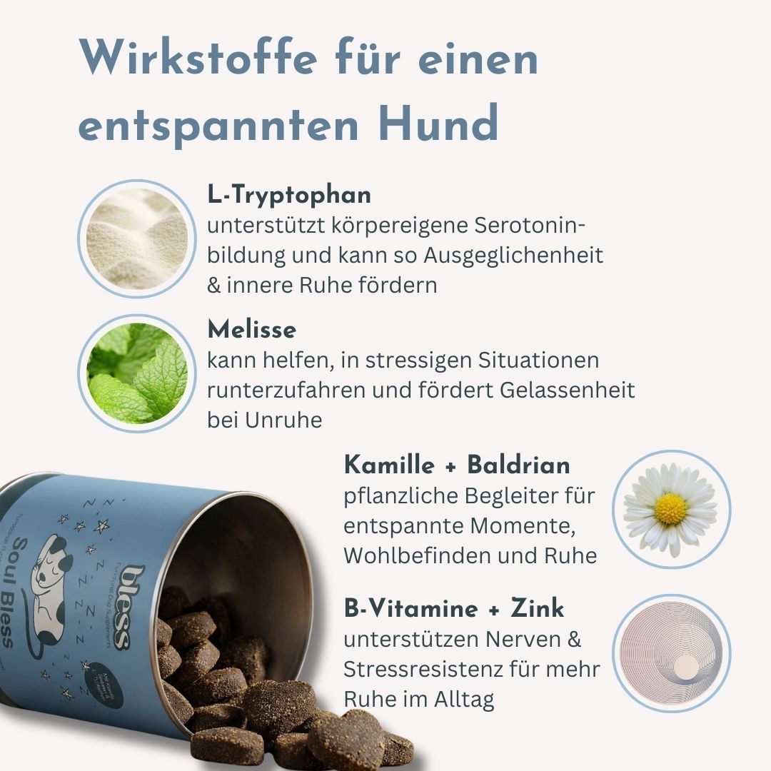 Bless Soul Bless, Beruhigungs-Snack für Hunde, Nahrungsergänzungsmittel für: Hunde, mit L-Tryptophan, Baldrian und Insektenprotein, allergikerfreundlich