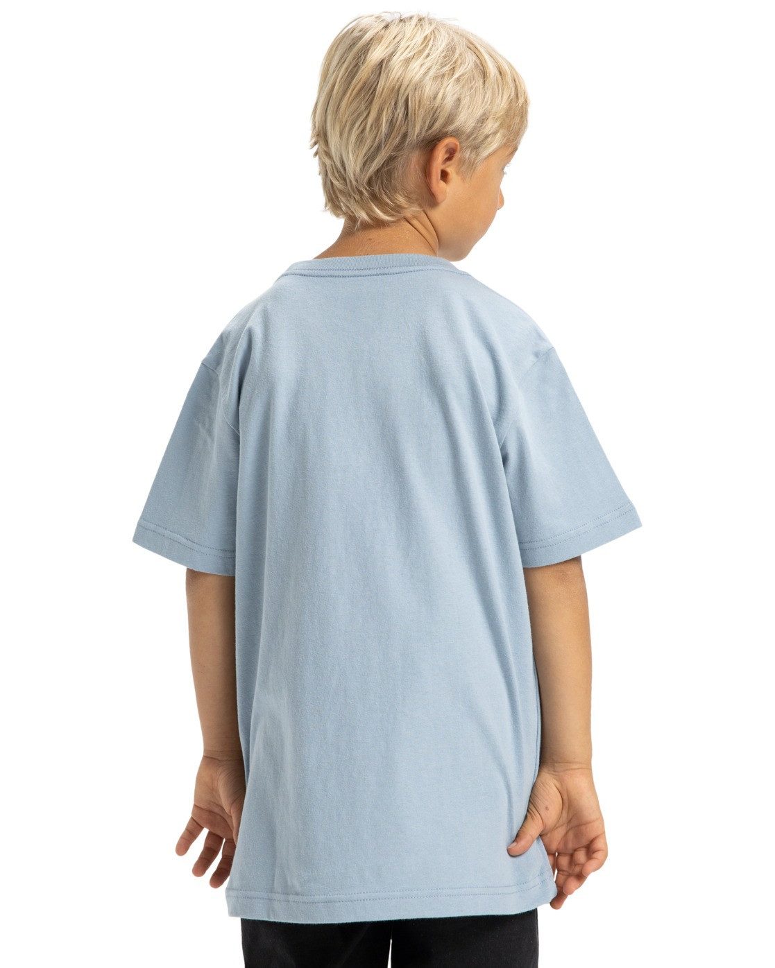 DC Shoes T-Shirt Manteca Tribute – Bild 2 von 5