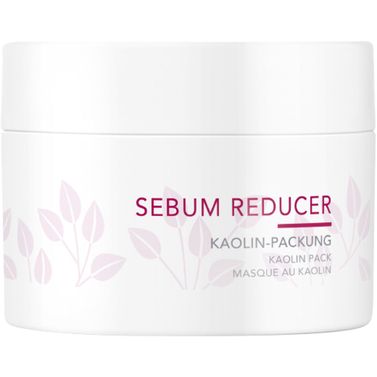 Charlotte Meentzen Gesichtsmaske Sebum Reducer Kaolin-Packung, Alle Hauttypen