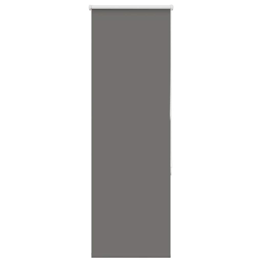 Rollo Verdunkelungsrollo Grau 50x150 cm Stoffbreite 45,7 cm Polyester, vida günstig online kaufen