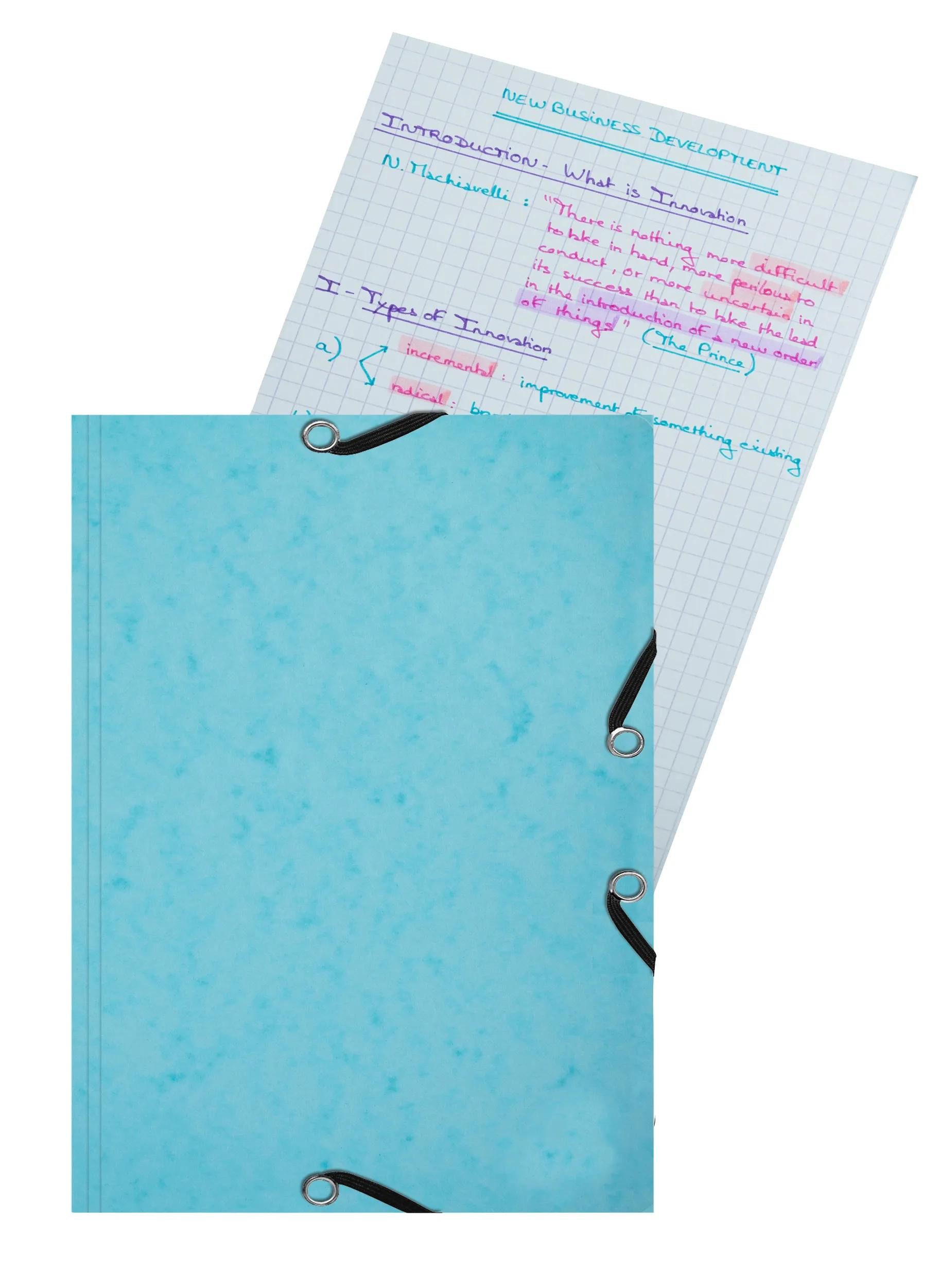 EXACOMPTA Organisationsmappe 10x Karteikarten-Set Sammelmappe 25x A5 kariert sortiert 55566E, Karteikarten blanko