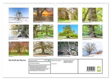 CALVENDO Wandkalender Die Kraft der Bäume (Premium, hochwertiger DIN A2 Wandkalender 2023, Kunstdruck in Hochglanz)