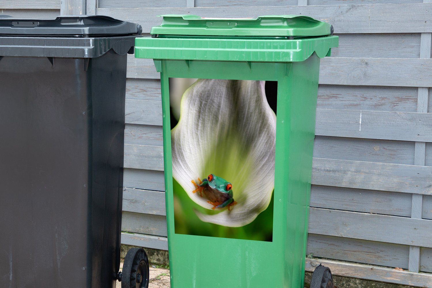 eines Frosches Wandsticker Abfalbehälter in MuchoWow Nahaufnahme einer Blume Mülltonne, Sticker, (1 St), Mülleimer-aufkleber, Container,