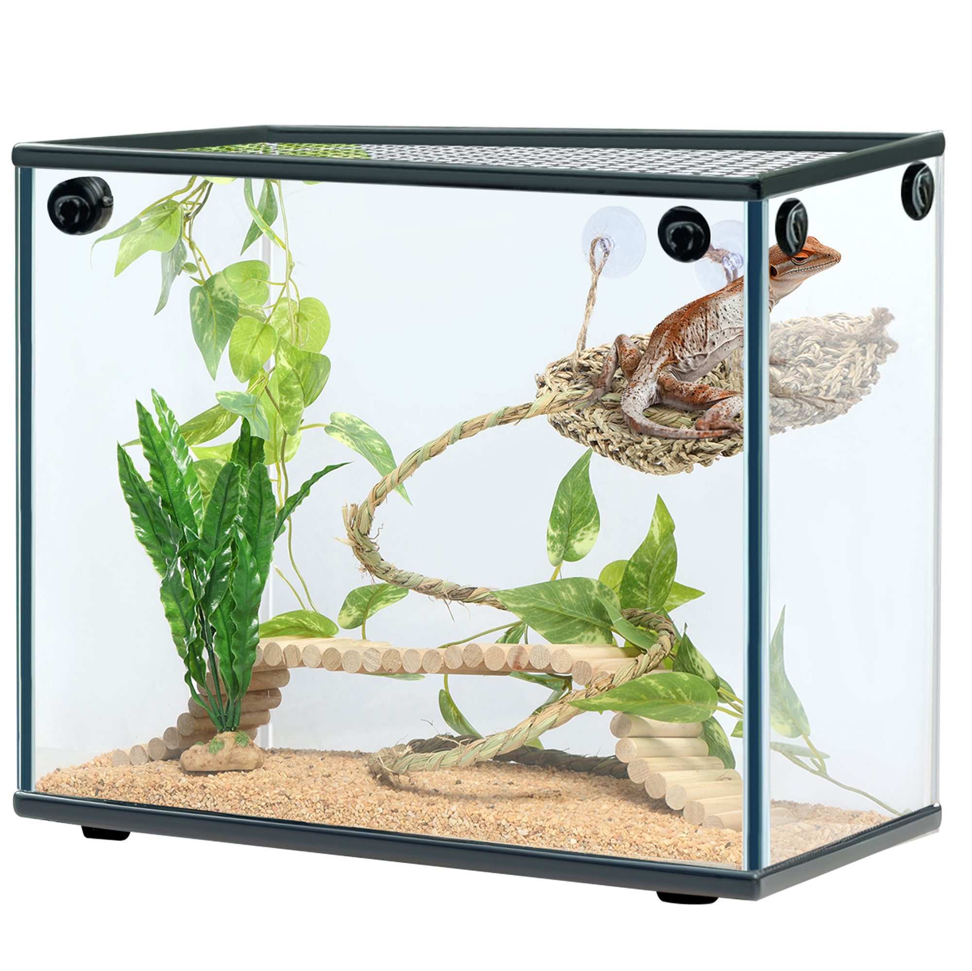 Terrarium Bartagamen Zubehör - Reptilien Zubehör - Zubehör fürs Terrarium