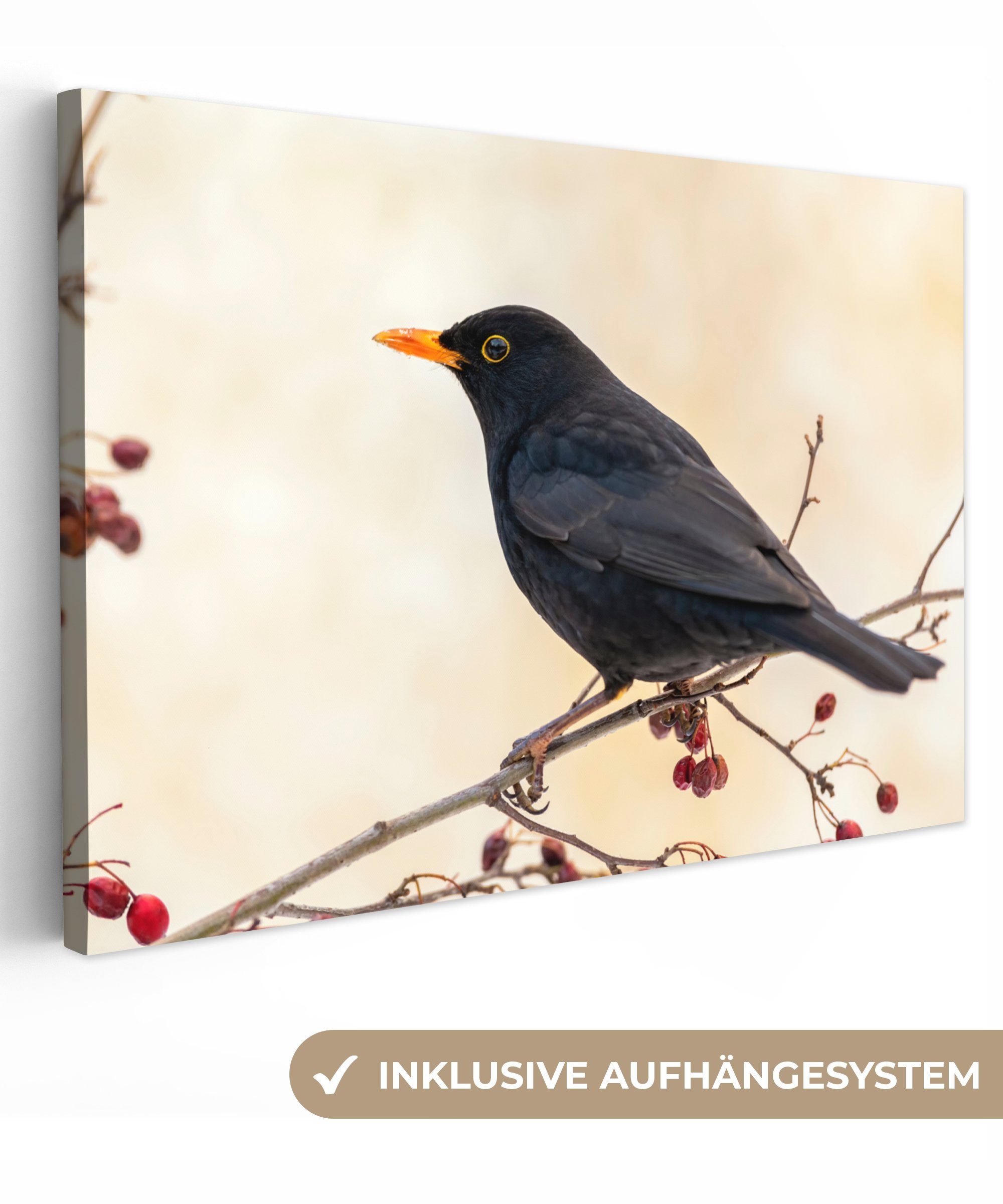 OneMillionCanvasses® Leinwandbild Amsel - Vogel - Zweige - Beere - Rot, Fotodruck (1 St), Leinwand Bilder Klein, Wand Dekoration Aesthetic 30x20 cm