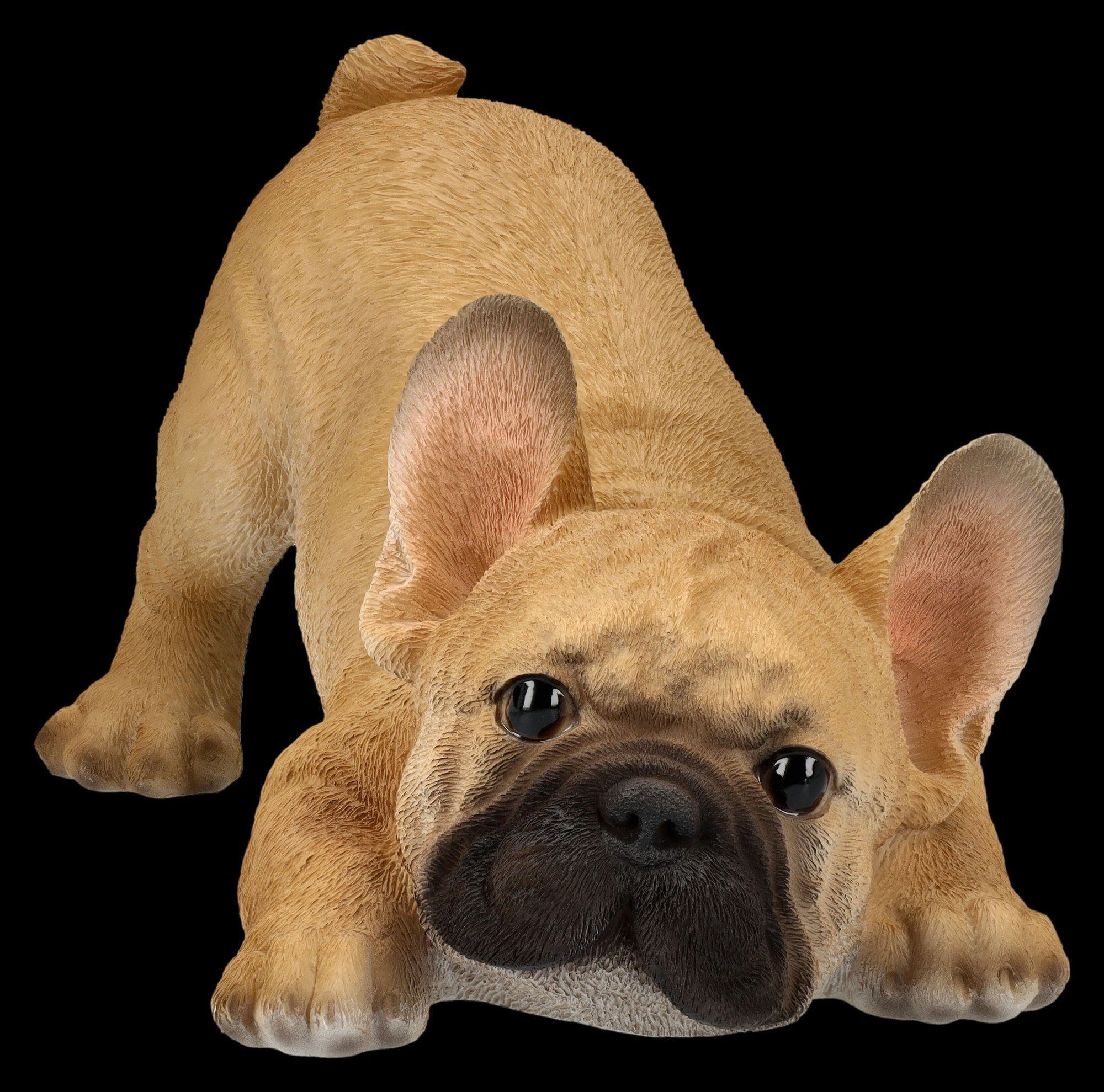 Französische Tierfigur will Dogge Shop spielen GmbH - Figuren - Hundefigur Bulldogge Welpe Hund